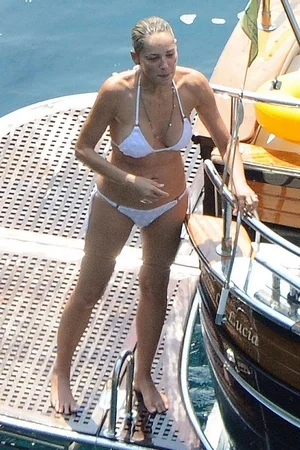 Фото голой Шэрон Стоун - 26